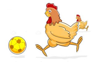 Hen playing with soccer ball